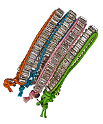 Blu Bijoux Emerald Cut Crystal and Cord Bracelets