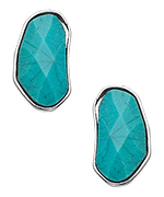 Blu Bijoux Oval Turquoise Stud Earrings