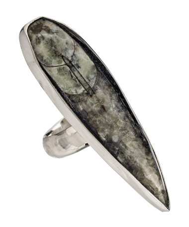 Charles Albert Orthoceras Fossil Adjustable Ring