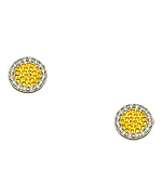 Jenny Present Erica Earrings