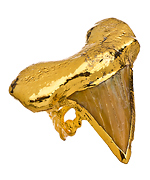 Jessica Matrasko Jewelry Nicole Shark's Tooth Ring