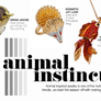 Animal Instincts