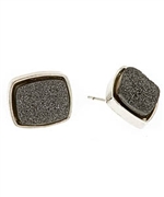 Dara Ettinger Alicia Black Druzy Stud Earrings
