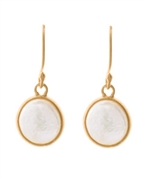 Baroni Coin Pearl Gold Earrings