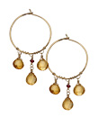 Calico Juno Sahara Champagne Hoop Earrings