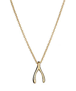 Meredith Hahn Wishbone Riann Necklace
