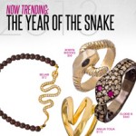 Now Trending: The Year of the Snake Now Trending: The Year of the Snake