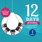 12 Days of Christmas at Max & Chloe: Day 1