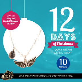 12 Days of Christmas at Max & Chloe: Day 10