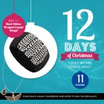 12 Days of Christmas at Max & Chloe: Day 11