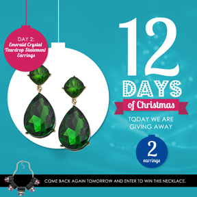 12 Days of Christmas at Max & Chloe: Day 2
