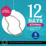 12 Days of Christmas at Max & Chloe: Day 4