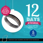 12 Days of Christmas at Max & Chloe: Day 5