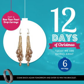 12 Days of Christmas at Max & Chloe: Day 6