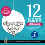 12 Days of Christmas at Max & Chloe: Day 7
