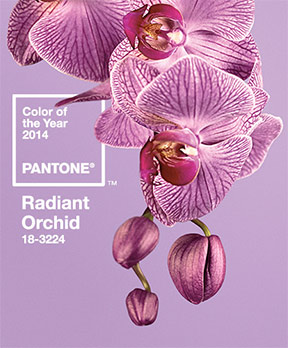 And The Color Of 2014 Is…..